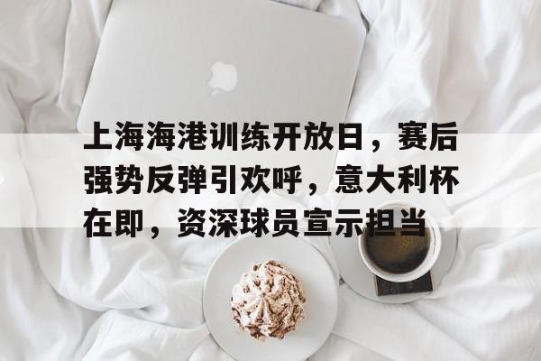 星空体育官网-上海海港训练开放日，赛后强势反弹引欢呼，意大利杯在即，资深球员宣示担当的简单介绍