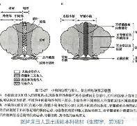 星空体育app下载-荷兰埃因霍温理工大学世界排名